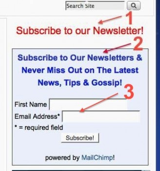 customize Mailchimp subscribe form